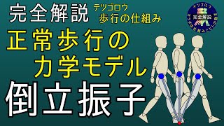 【完全解説】正常歩行のメカニズム 正常歩行の力学モデル(倒立振子)、正常歩行の重心上下移動を正常歩行の力学モデルである倒立振子とイラストおよびアニメーションを使い、カンタン・丁寧に解説します