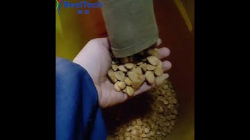S32 Almond Color Sorting
