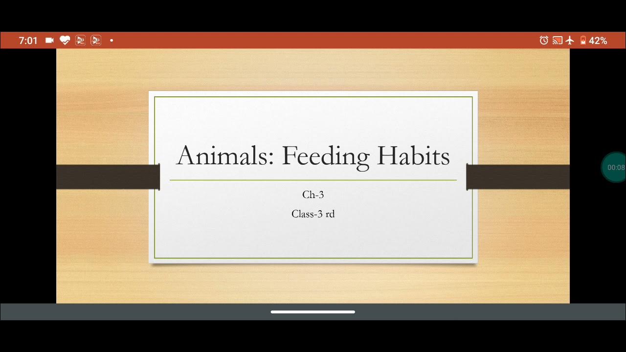 Class-3 Ch-3 Animals: Feeding habits - YouTube