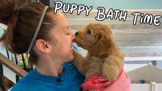 Puppies First Bath