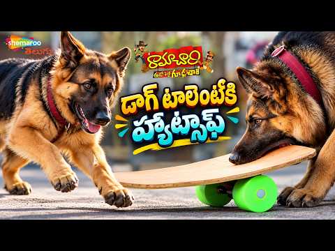 Unbelievable Stunts by Police Dog | Ramachari Movie Best Scenes | Venu | Kamalinee Mukherjee | Ali