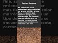 Cuáles son los tipos de suelo que debes evitar para construir tu casa #construcción #ingenieria