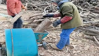 Amazing Wood Chipper Machine Working In Factory