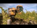 VTV Episode 2 of 8 - winemaking in Marlborough, New Zealand