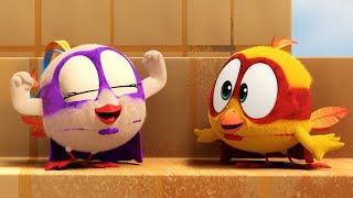 Where's Chicky? Funny Chicky 2023 | SUPERHEROES | Cartoon in English for Kids | New episodes