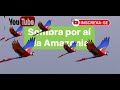 Chegamos A 300 ESCRITOS!!! Emoção,Alegria e Gratidão
