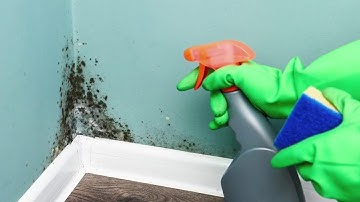 Do this immediately after water damage to your home