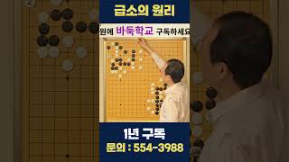 급소의 원리
