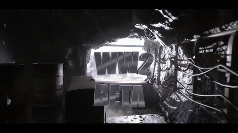 iFrZ: WW2 BETA TEAMTAGE