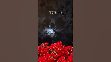 سورة الشمس بصوت جميل