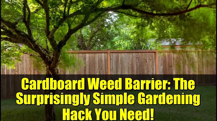 Cardboard Weed Barrier: The Surprisingly Simple Gardening Hack You Need!