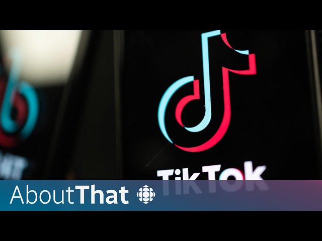 Why was TikTok banned on government devices?