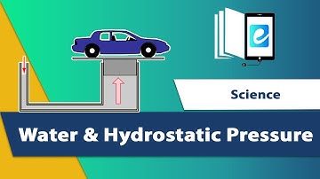 Water and Hydrostatic Pressure || Animated Science Video || elearn K12