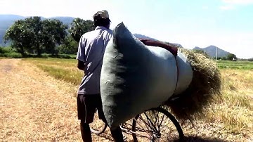 Thời khắc đẹp nhứt của ruộng bậc thang Tà Pạ, Tô Thuận Núi Tô, Tri Tôn, An Giang 01/12/2019