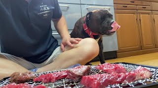 飼い主すら襲いそうな犬と焼肉してみたら？