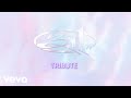 311 - Tribute ('311' Outtake - 1995 - Official Audio)
