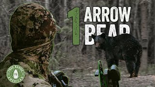 BRCC Alberta Bear Hunt Ep. 1: First Day, One Broadhead, One Bear