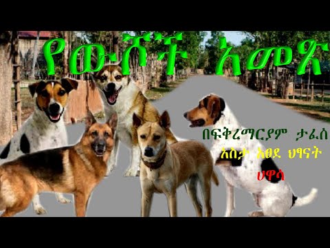 ቪዲዮ: በሳልቲኮቭ-ሽቼዲን ተረቶች ውስጥ ማህበራዊ አስቂኝ