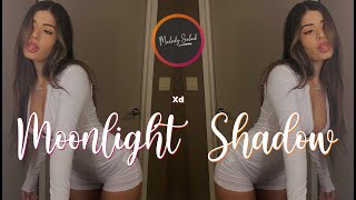 Xd - Moonlight Shadow