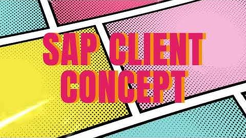 SAP CLIENT CONCEPT with Real life example