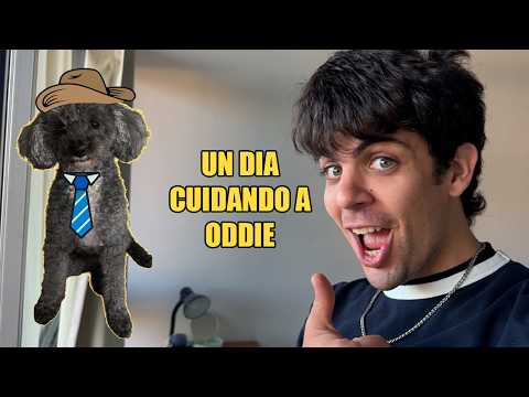 UN dia CUIDANDO a Un PERRO ayudaa!! #humor #perros