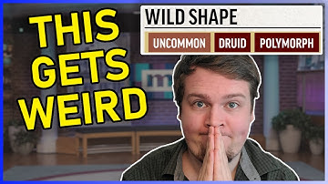 The Awkward Science of Polymorph - Pathfinder/D&D