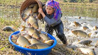 River Full of Giant Catfish & Wild Carp | Fishing with Bamboo Rods for Market with Nhi & Khoi