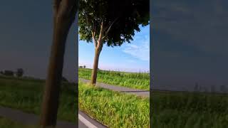 CBR1000 RR 2019 Kosten für Inspektion, Pflegepaket und Einlagerung#Shorts