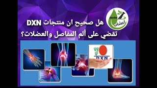 هل صحيح ان منتجات DXN   تقضي على الم المفاصل والعضلات ؟  #DXN #سبيرولينا #الفطر_الريشي #Ganoderma