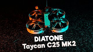 ☀ Пластиковый синевуп. А фишка ли это? [Diatone Taycan C25 MK2]