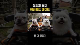모찌와 뽀미 에버랜드 데이트! 헌트릭스세트 먹방 #프렌치불독 #에버랜드 #먹방 #헌트릭스 #강아지 #반려견 #댕댕이 #cute #pets #puppy