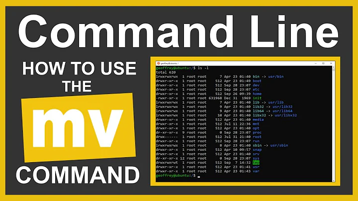 Command Line Tutorial: How to Use the mv Command