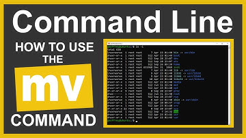 Command Line Tutorial: How to Use the mv Command