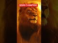 #motivacional #gratidao #oração