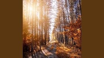 Run With The Sun