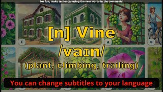 [n] Vine meaning (plant, climbing, trailing) with 5 examples