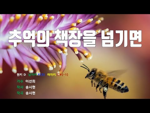 [은성반주기] 추억의책장을넘기면 - 이선희 /MR/가사