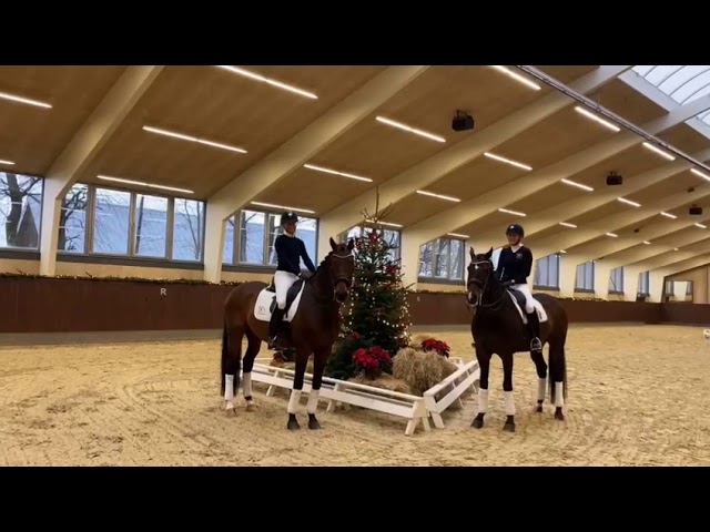 Blue Hors Zack désormais monté par Nanna S. Merrald
