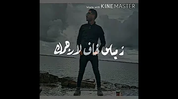 وانا توبي ابيض خااالي من العيب 