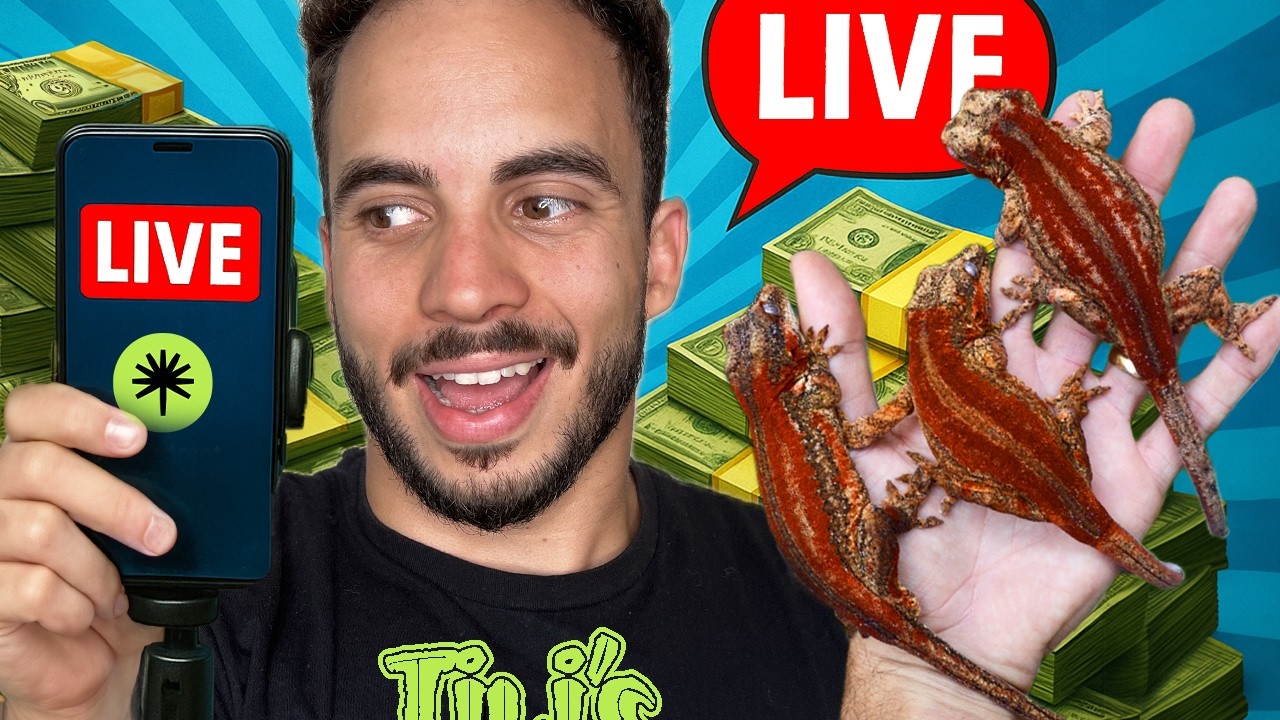 Как я заработал 20 тысяч на продаже рептилий (и как вы тоже можете)