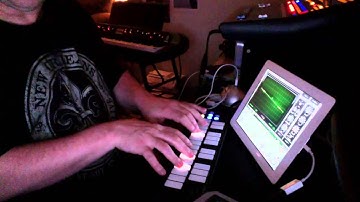 Animoog meets Qunexus