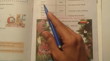 Sindh Text | Class 3 | English | Unit 6.3b | Activities/Exercises