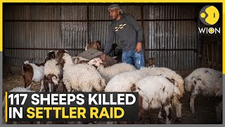 Israeli Settlers Accused Of Killing 117 Sheep In West Bank Attack | WION Profile