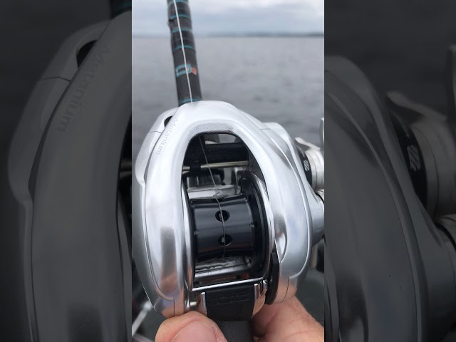 Cane Fishing, casting demo with Spool Speed Bearings on Lake Murray