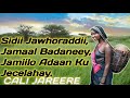Cali Jareere Alam Dheh Alam Dheh Alam Gariir Dheh Cali Jareere Lyrics Cali Jareere Hees