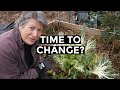 Is this the end of annual vegetables? | Perennial Vegetables | Byther Farm