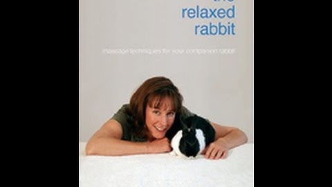 The Relaxed Rabbit: Massage for Your Companion Bunny-PART 3