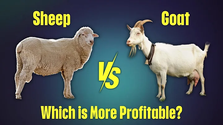 Goat Farming vs Sheep Farming: What’s Best for Your Land and Market?