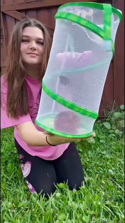 I’m a little emotional 🥹 they grow up so fast #butterflies