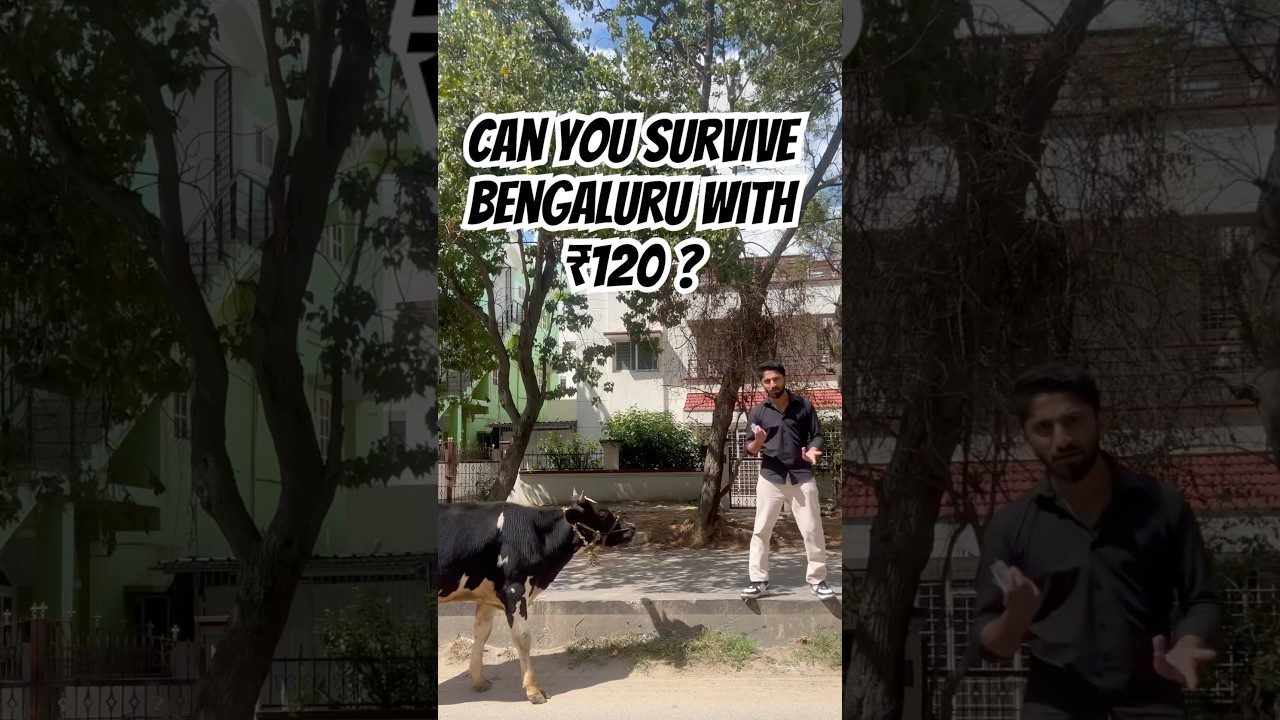 ₹120 Challenge - Surviving 24H in Bengaluru 🥲 | My dads challenge 
